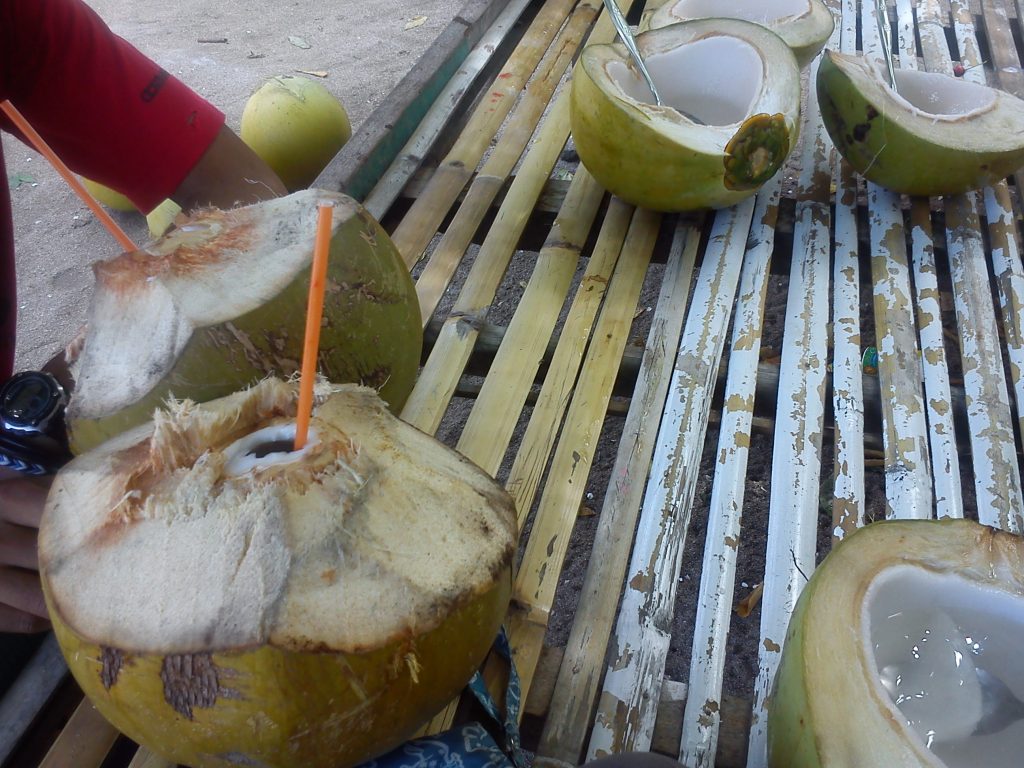 Kelapa-kelapa muda bergelimpangan